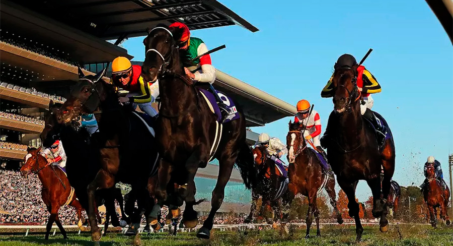 Horse racing